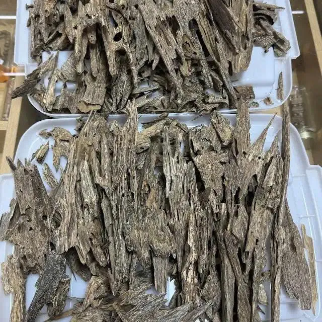 Premium Ant Oud – Wild Vietnam&nbsp; Agarwood Oud | High Resin Block